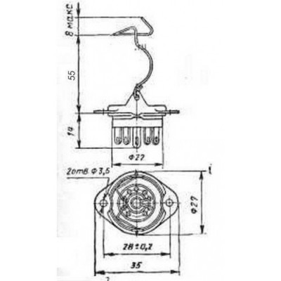 plk9-l55.jpg