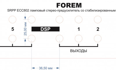 Задняя шильда FOREM размер DSP разъемов (cut).jpg