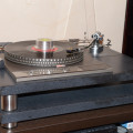 DSC_1769.JPG