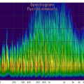 "Музыкальная гостиная" в городской квартире Спектрограмма пустой комнаты.jpg