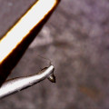 S20240503_0004.jpg
