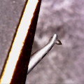 S20240503_0006.jpg